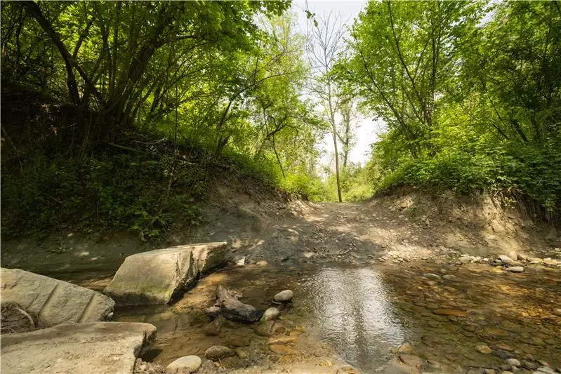 Sentiero Rio Crosio