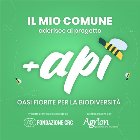 +api