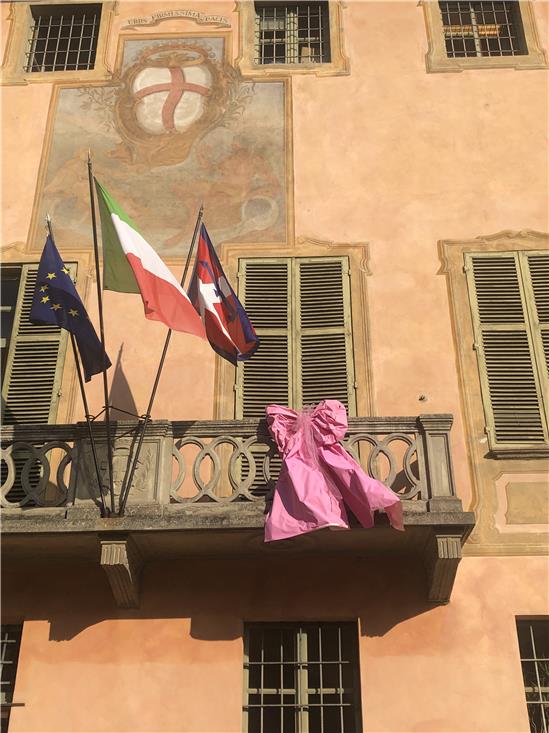 fiocco rosa