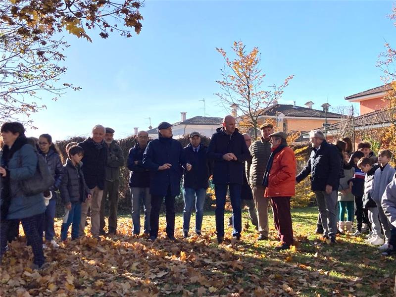 festa degli alberi