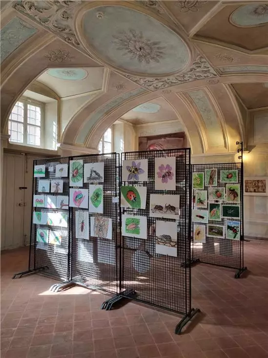 mostra disegni naturalistci