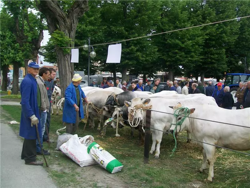 fiera Vitello Grasso