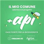 +api