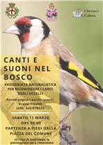 locandina canti uccelli